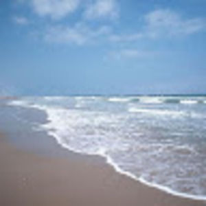 Meet your Posher, Rich